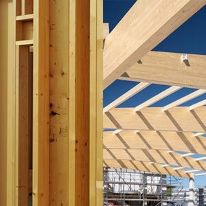 VisKon A+B Roof+Wall 2 months